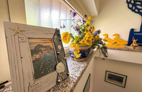 La Piccola Mimosa - Foto 15