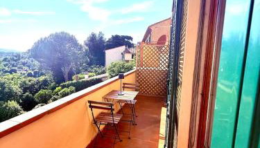Ciliegia di Lari - Belvedere - Foto 4