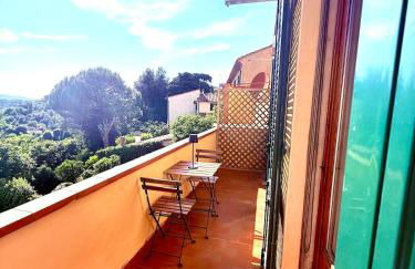 Ciliegia di Lari - Belvedere - Foto 8