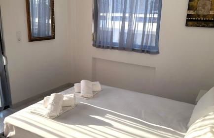 ARTEMIS and FILLO - Photo 16