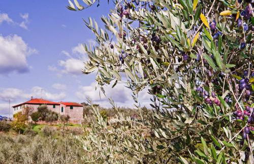 Farmhouse Abode With Pool and Tuscan Charm - Foto 14