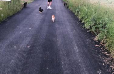 Lincoln Holiday Retreat Cottage with Private Hot Tub - Foto 21