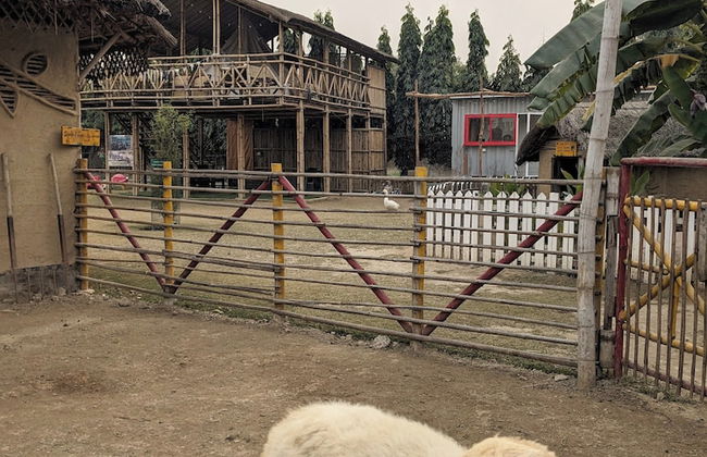 Tuk Tuk Gilhari Noida - Foto 70