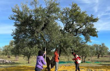 Agriturismo Poggio Ferrata - Foto 38