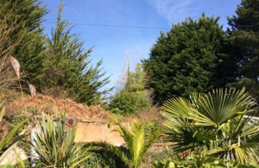 Ralph's Barn - Photo 25