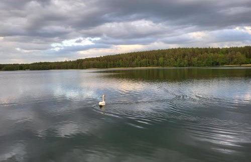 Apartament Perła A31 - Foto 36