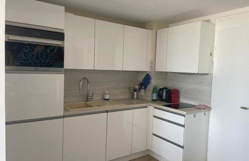 Appt T1 bis, terrasse face mer, rénové, climatisé - Foto 5