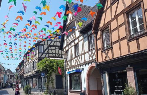 Appartement cosy - Centre de Barr - Route des Vins - Photo 2