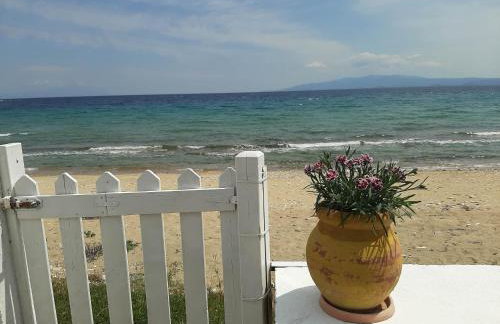 House Kokkalas on the beach - Photo 16