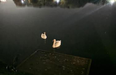 Rachels Luxury Tattershall Hot Tub & Fishing Retreat - Foto 54