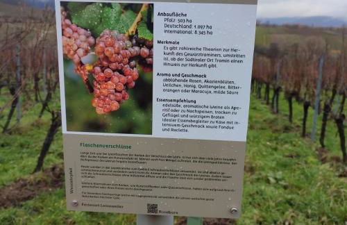 Gästezimmer Waldblick Leinsweiler - Foto 8