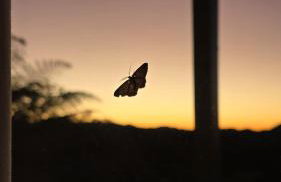 Cabana Momento, o Melhor Nascer do Sol de Urubici - Photo 6
