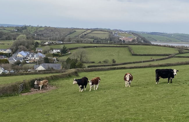 Beautiful 2 Bed Bungalow in Laugharne Situated - Foto 24