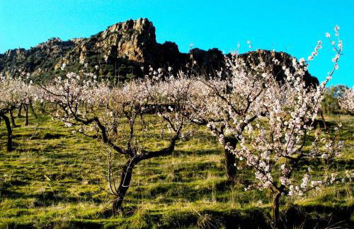 Casa da Cisterna - Foto 66