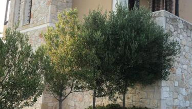 Chalkidiki Casa Elia - Foto 3