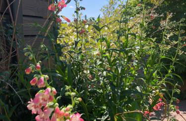 les Cottages du Valcoquet - Foto 99