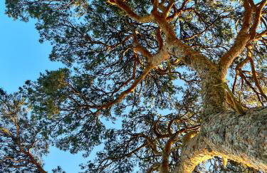 Stunning Central Flat w/ Parking - Foto 22