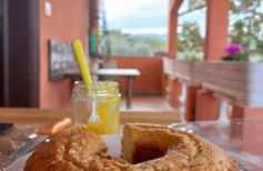 Poggio agli Ulivi vicolo di Colle Reti 22 Frascati - Foto 32