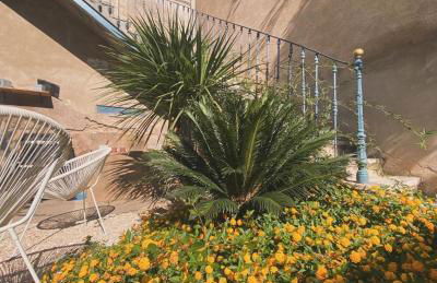 Le Chai des Tuileries - Foto 11