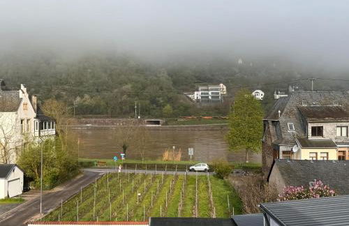 Hakans moselblick Ferienwohnung 2 - Foto 23