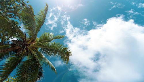 Zen Escape at Terra Verde by Shine Villas - Foto 4