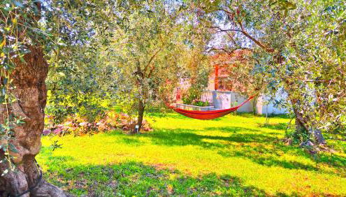 Sunray Separate Villa - Photo 2, Garden