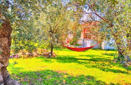 Sunray Separate Villa - Photo 2