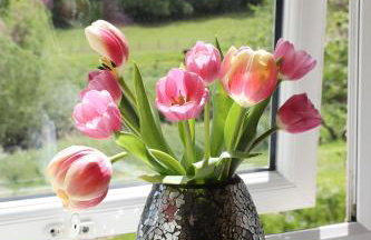 Beautiful cozy 3 bedroom 2 bathroom apartment - Foto 45