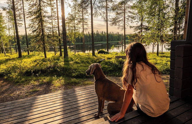 Metsä Kolo - Foto 28