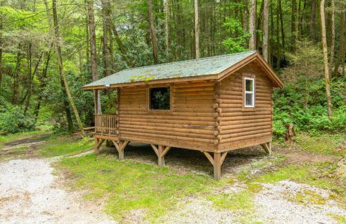 WiFi & Minimalist - Cozy Creek -Red River Gorge KY - Photo 3