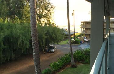 Kauai Getaway Condo - Foto 28