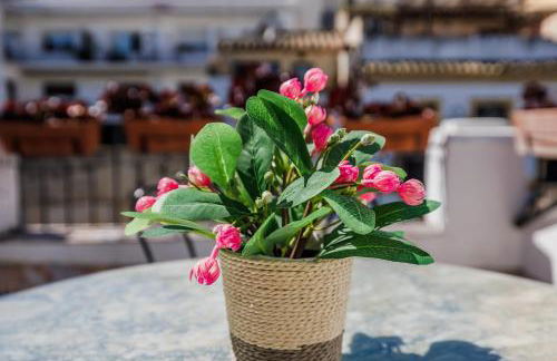 Casa Los Naranjos - Terraza en el Casco Histórico - Foto 49