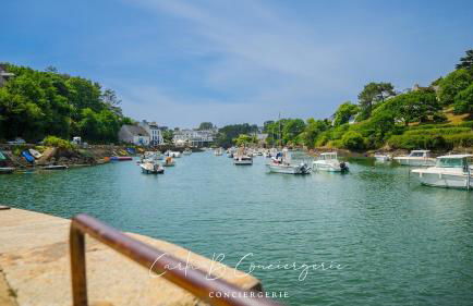 Vue imprenable exceptionnelle sur l'océan pour cette résidence haut de gamme avec piano DOELAN - Foto 25
