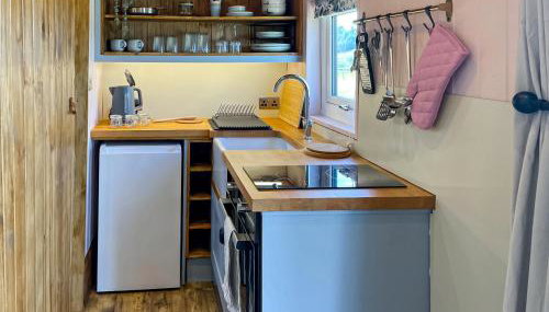 Forget-Me-Not - Uk37646 - Foto 5