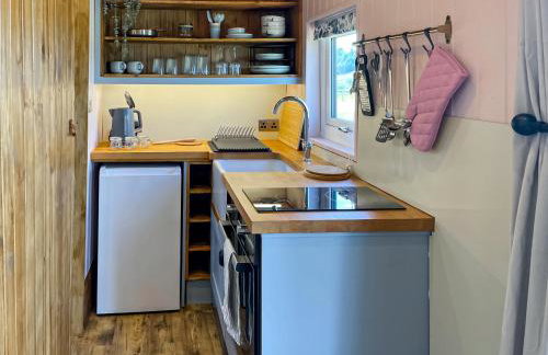 Forget-Me-Not - Uk37646 - Foto 5