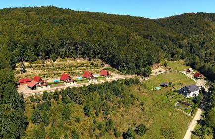 Domki Beskid - Foto 29