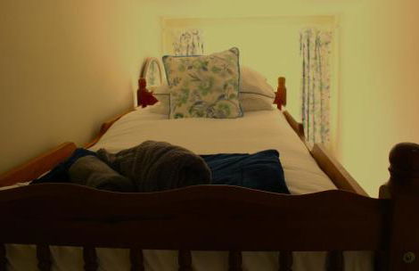 Charming 2 bedroom cottage in Brecon - families and pets welcome! - Foto 15