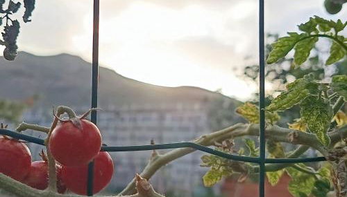 Holiday Home Edara Home - Haus mit privatem Garten by Interhome - Foto 5