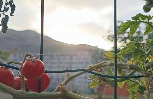 Holiday Home Edara Home - Haus mit privatem Garten by Interhome - Photo 5