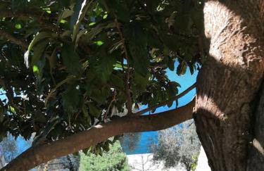 Mystica - charming studio apartment on the beach - Foto 16