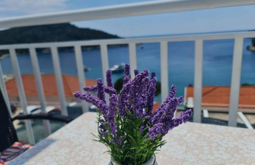 Apartments Pavlić - Photo 7