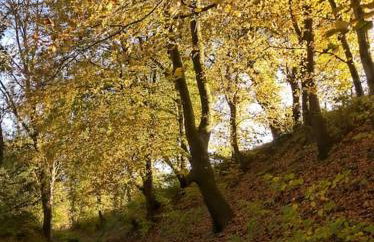 The Annexe @Granny’s Apple Lodge - Foto 20