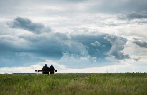 Arche Svea Kiebitz - Foto 23