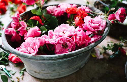 8 Grappoli Agritur - Foto 78