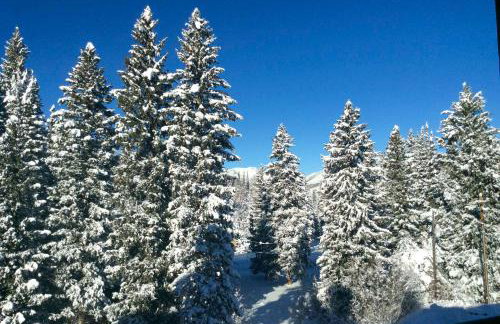 Ski-InandSki-Out Solitude Condo with Rooftop Hot Tub! - Foto 26