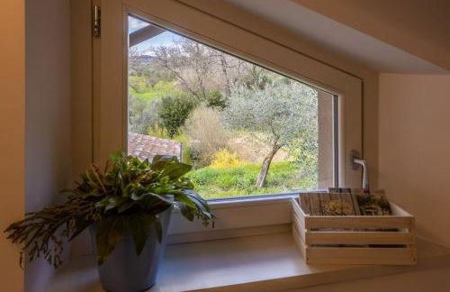 Lombardi Rita - Colle S. Martino - Photo 25