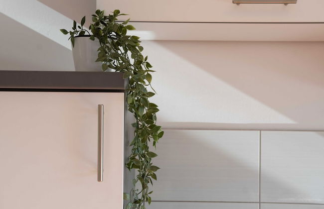 Apartments Nikolina - Foto 56