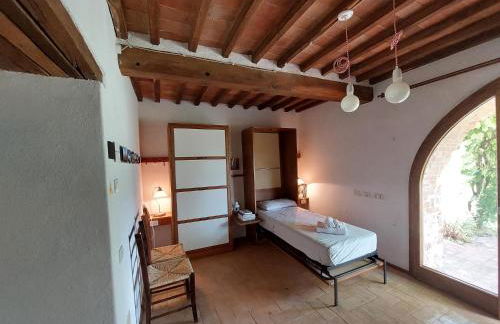 Sport Bikes and Nature - Foto 30