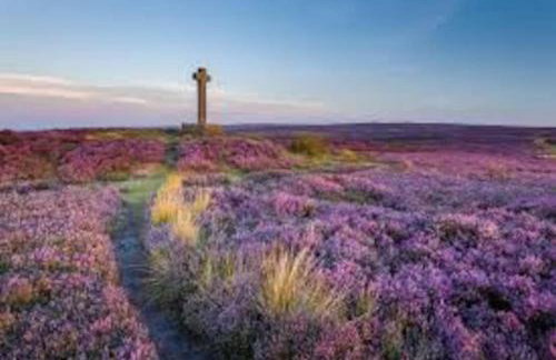 Storm Cottage - Foto 20