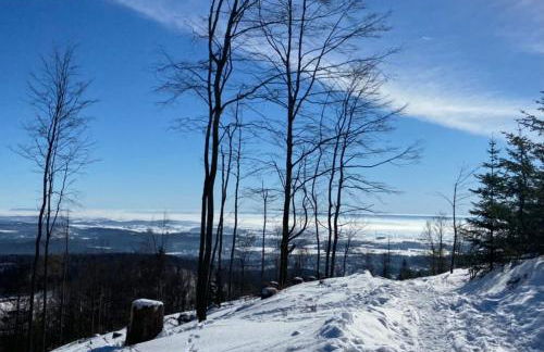 Ferienhaus Kleine Auszeit - Foto 78